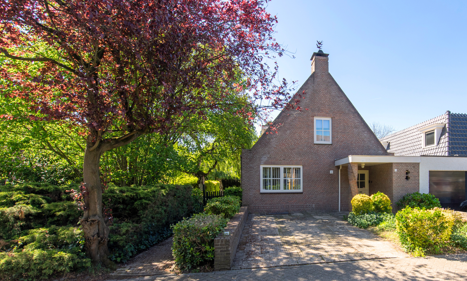 Reest 15 