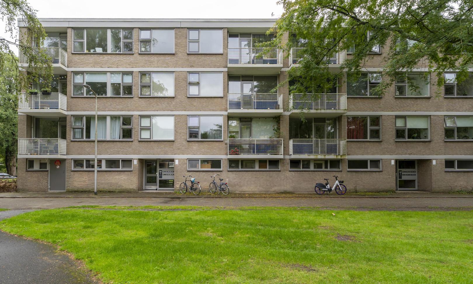 Kasteel Nijenrodestraat 199 